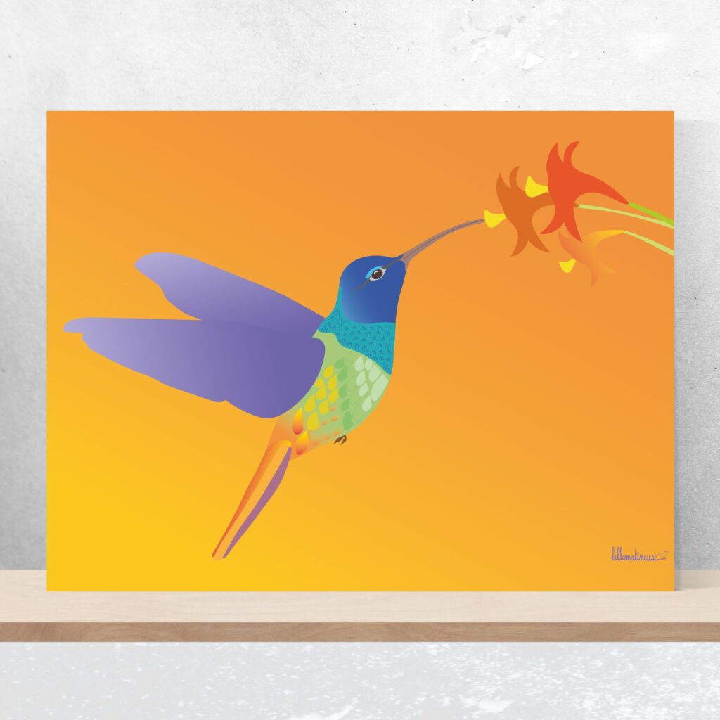 Affiche bellematineuse Le merveilleux colibri en vol