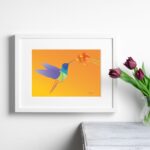 Affiche bellematineuse Le merveilleux colibri en vol