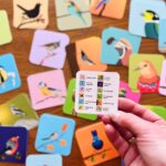 Jeu mémory coloré oiseaux nature