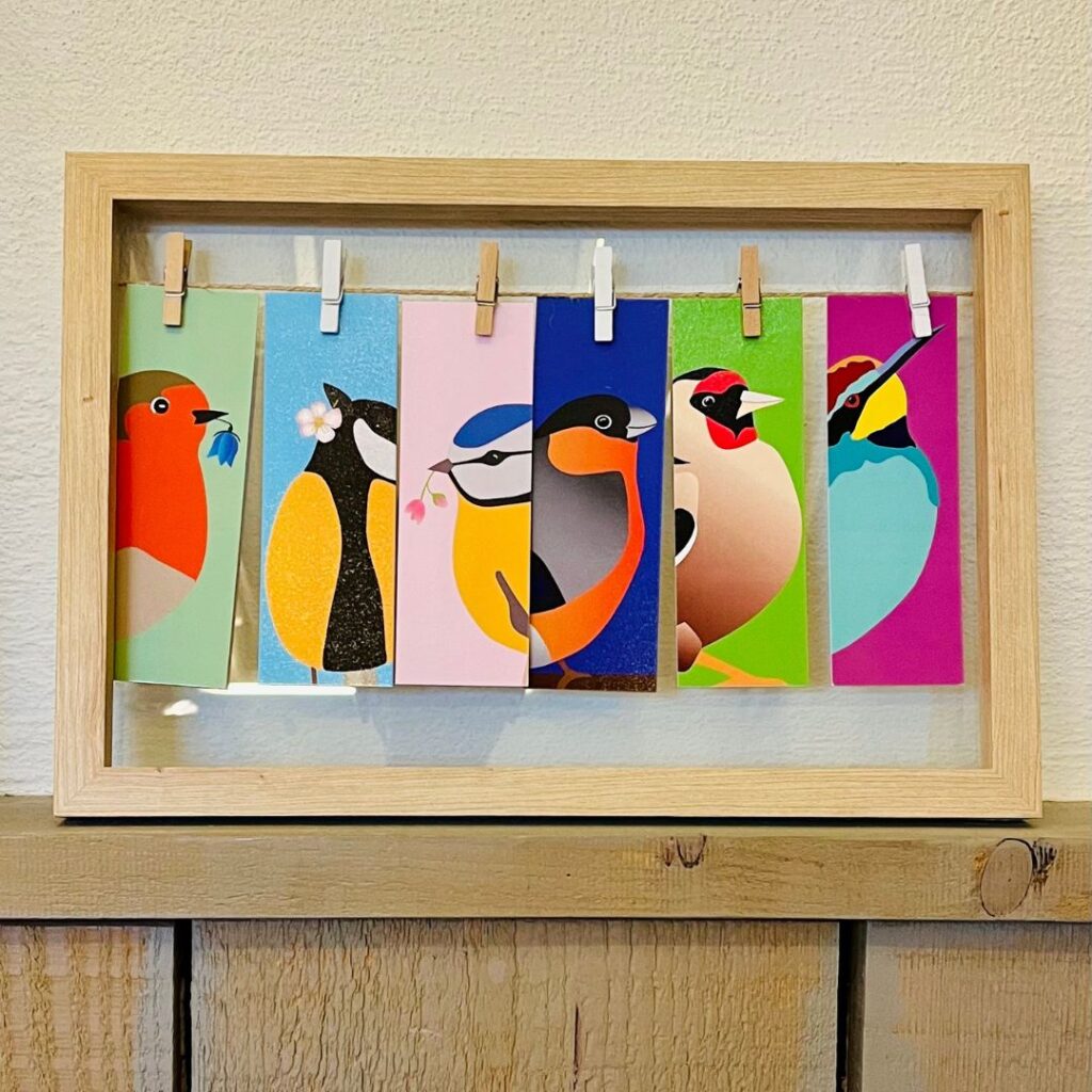 Lot de 6 marque-apges colorés oiseaux du jardin : mésange bleue, mésange charbonnière, rouge-gorge, bouvreuil pivoine, guêpier d'Europe, chardonneret élégant