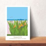 Affiche Paysage du Sud Promenade Rose à St Cyr sur Mer, oiseaux de paradis et goéland en vol