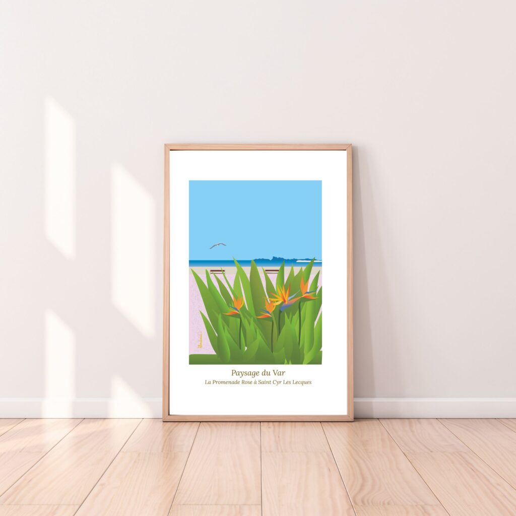 Affiche Paysage du Sud Promenade Rose à St Cyr sur Mer, oiseaux de paradis et goéland en vol