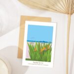 Illustration paysage du Sud la Promenade rose à St Cyr les Lecques et oiseau goéland fleurs oiseaux du paradis