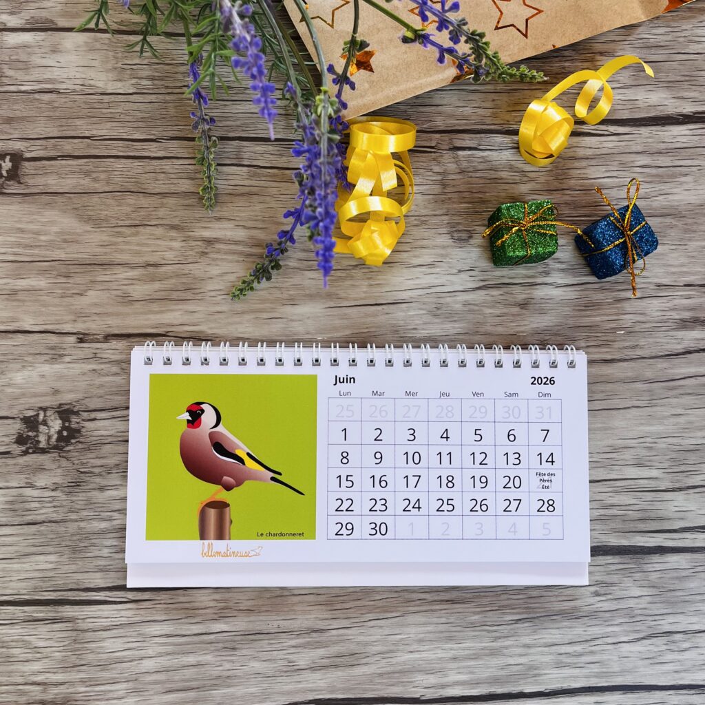 calendrier 2026 illustré oiseaux du jardin chardonneret élégant