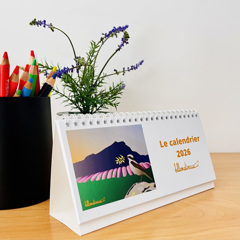 calendrier 2026 illustré oiseaux du jardin