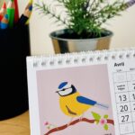 calendrier 2026 illustré oiseaux du jardin mésange bleue