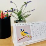 calendrier 2026 illustré oiseaux du jardin mésange bleue