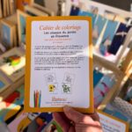 Cahier de coloriage Les oiseaux du jardin en Provence créé et imprimé en Provence