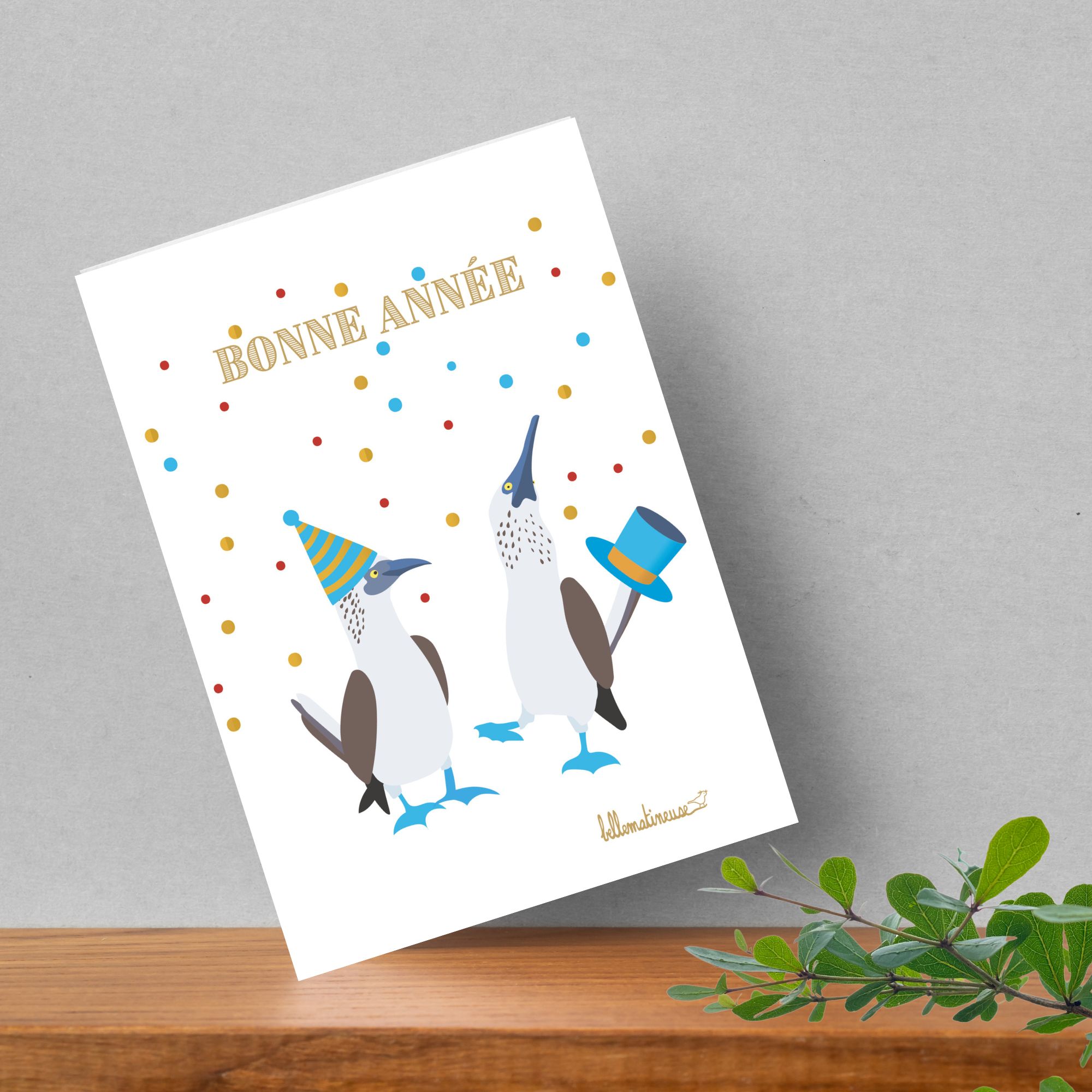 Deuxième Image Produit