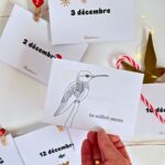 Cartes à colorier Calendrier de l'Avent avec des oiseaux magnifiques