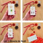 Etiquettes de Noël colorées, gaies et originales avec des oiseaux made in France