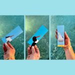 Lot de 6 marque-pages Oiseaux marins ode à la mer