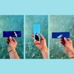 Lot de 6 marque-pages Oiseaux marins ode à la mer