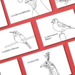 Recto_Cartes à colorier Avent_présentation.jpg