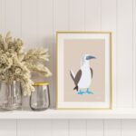 Fous aux pieds bleus