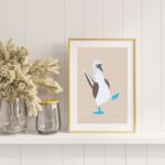 Fous aux pieds bleus