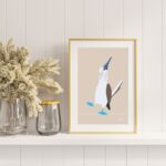 Fous aux pieds bleus