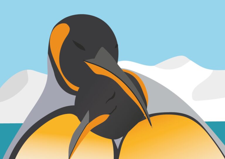 Couple de manchots empereurs unis pour la vie