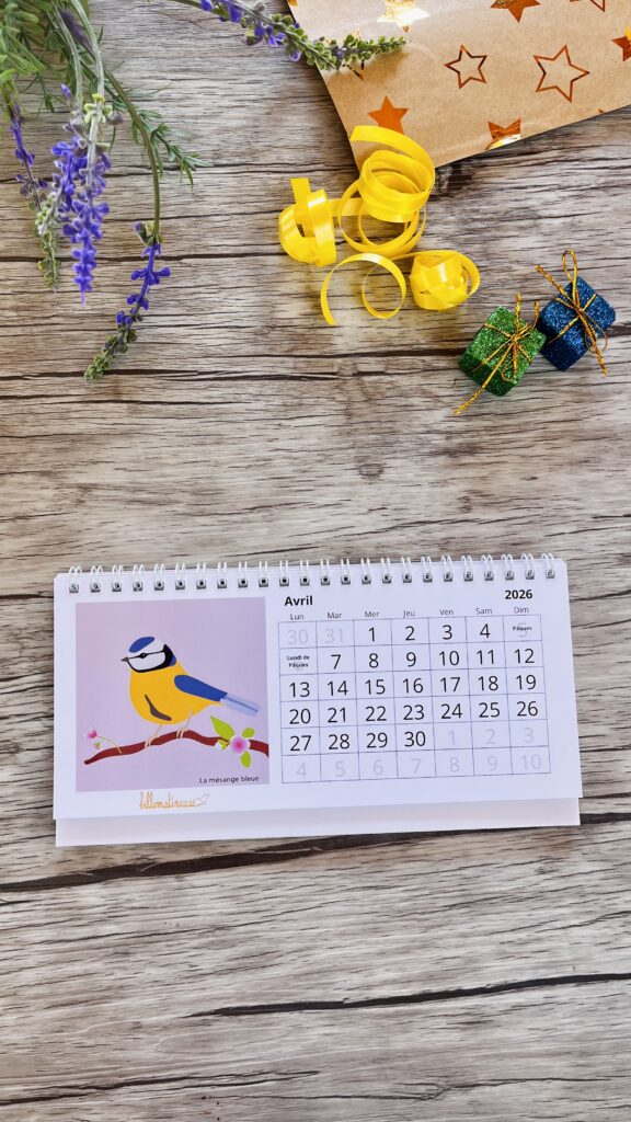 calendrier oiseaux du jardin la ésange bleue