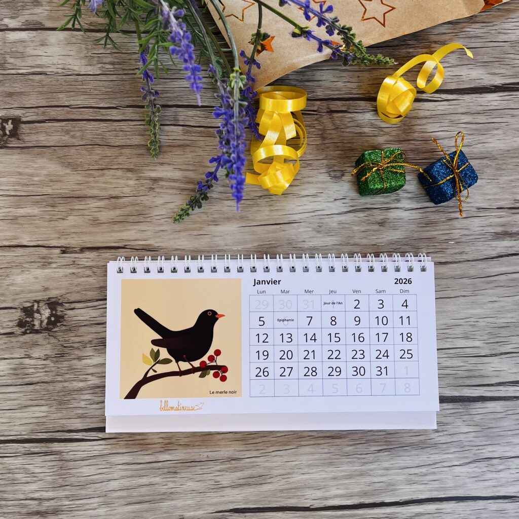 calendrier merle noir