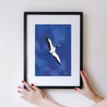 Affiche déco inspirante Grue du Japon en vol ciel bleu