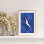 Affiche déco inspirante Grue du Japon en vol ciel bleu