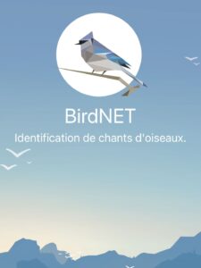 application BirdNET pour apprendre à reconnaître les oiseaux