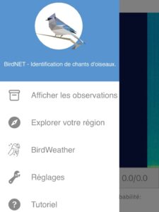application BirdNET pour apprendre à reconnaître les oiseaux : sommaire de l'appli