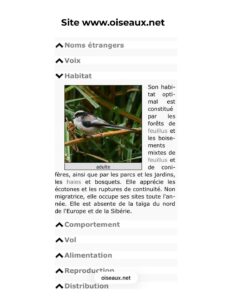 site oiseaux.net pour apprendre à reconnaître les oiseaux : 