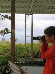 Béa photographie les oiseaux en vacances observation des oiseaux