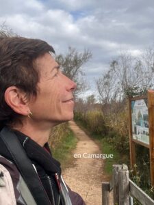 observation des oiseaux en Camargue