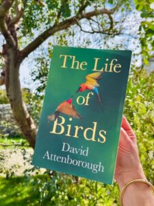 The life of birds by David Attenborough - apprendre à reconnaître les oiseaux